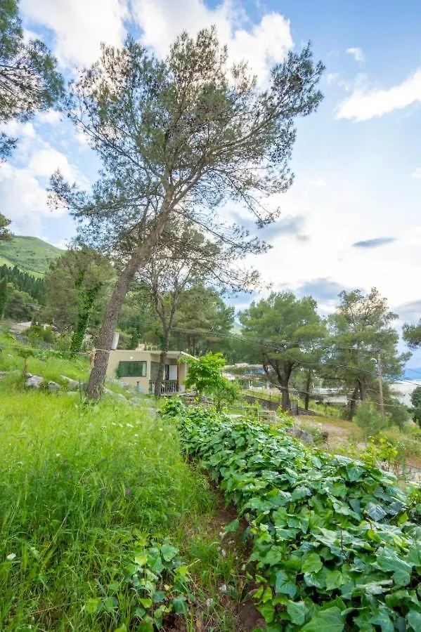 Among The Trees Villa Shiroka