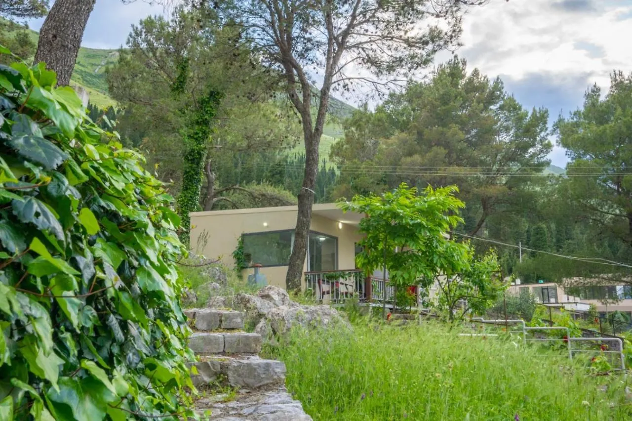 Among The Trees Villa Shiroka